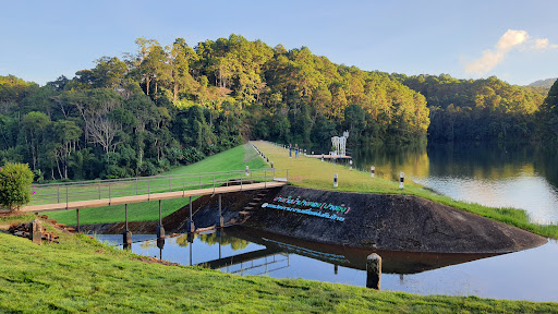 ภาพ สวนป่าตามพระราชดำริปางตอง 2 (ปางอุ๋ง)