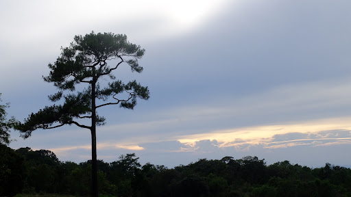 ข่าวสาร 1